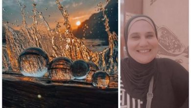 صورة لا تصدق : بقلم نجلاء فتحي عزب