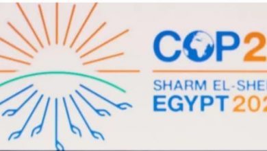 صورة مصر وقمة المناخ
