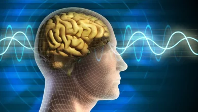 صورة د.جمال فرويز خطورة المخدرات الرقمية وتأثيرها السلبي على عقول الشباب