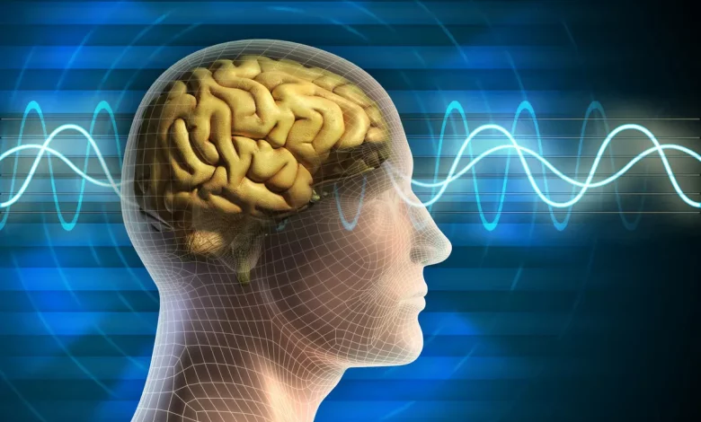 د.جمال فرويز خطورة المخدرات الرقمية وتأثيرها السلبي على عقول الشباب