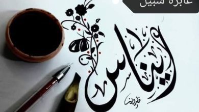 صورة إيناس مع الناس