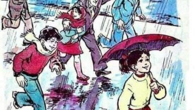 صورة قصة قصيرة “الأحد الماطر ” بقلم الكاتبة نسرين بدور