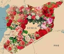 صورة هكذا ردت شكران مرتجى على نضال الأحمدية