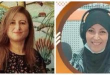 صورة قراءة نقدية: “القصيدة بين الشوق والنشوة” القصيدة: “ترنيمة عشق”