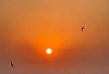 صورة اللطف الخفي وراء ارتفاع درجات الحرارة   لعلها المنجية 